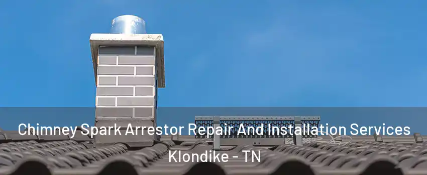 Chimney Spark Arrestor Repair And Installation Services Klondike - TN