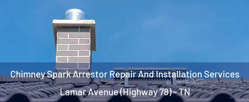 Chimney Spark Arrestor Repair And Installation Services Lamar Avenue (Highway 78) - TN