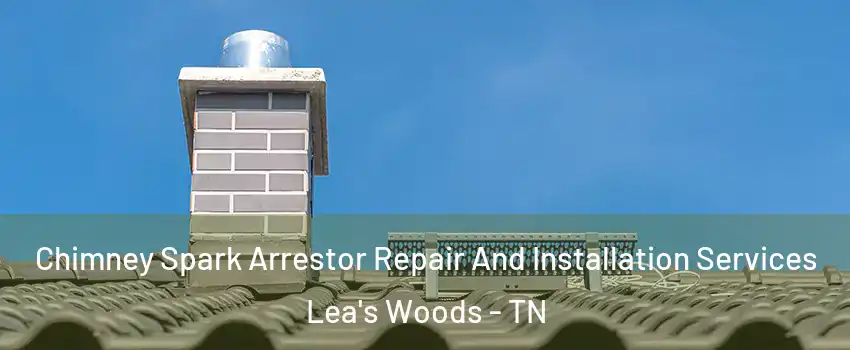 Chimney Spark Arrestor Repair And Installation Services Lea's Woods - TN