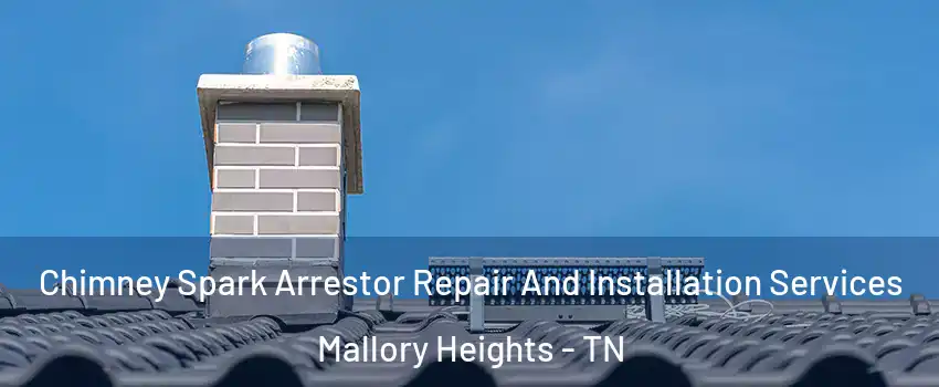 Chimney Spark Arrestor Repair And Installation Services Mallory Heights - TN