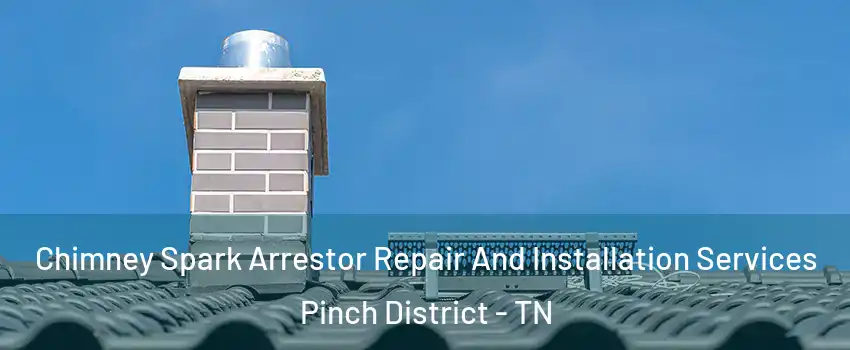 Chimney Spark Arrestor Repair And Installation Services Pinch District - TN