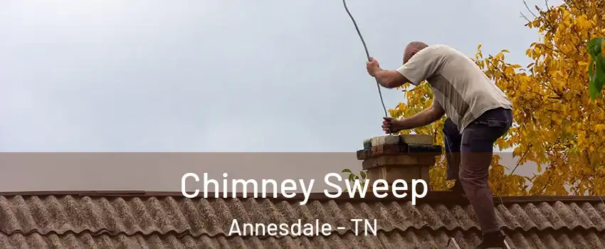 Chimney Sweep Annesdale - TN