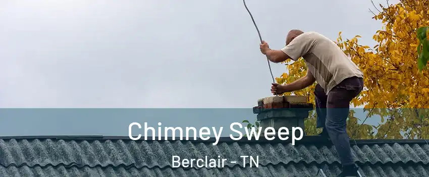 Chimney Sweep Berclair - TN