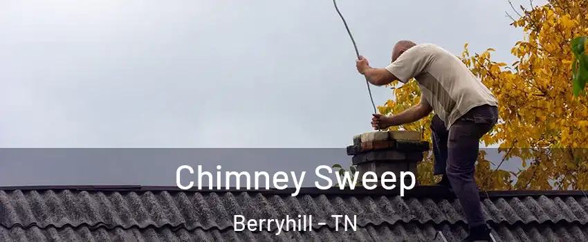 Chimney Sweep Berryhill - TN