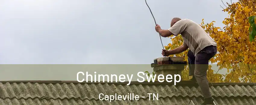 Chimney Sweep Capleville - TN