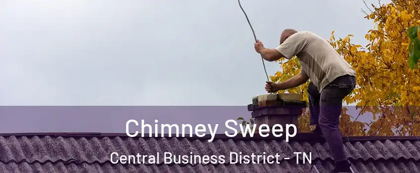 Chimney Sweep Central Business District - TN