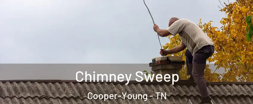 Chimney Sweep Cooper-Young - TN