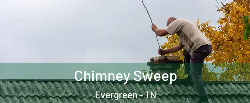 Chimney Sweep Evergreen - TN