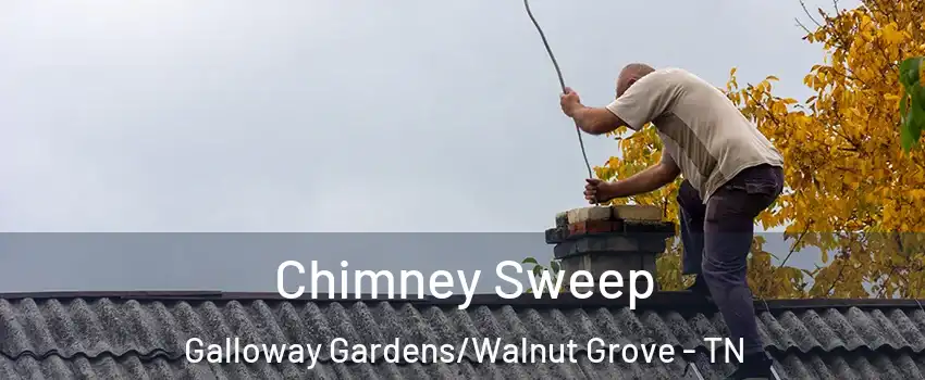 Chimney Sweep Galloway Gardens/Walnut Grove - TN