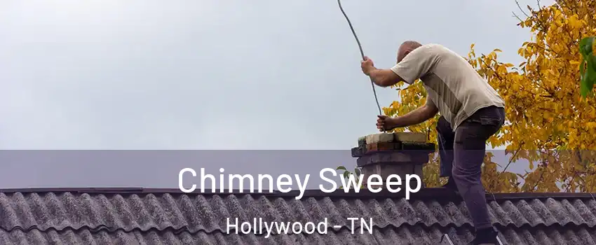 Chimney Sweep Hollywood - TN