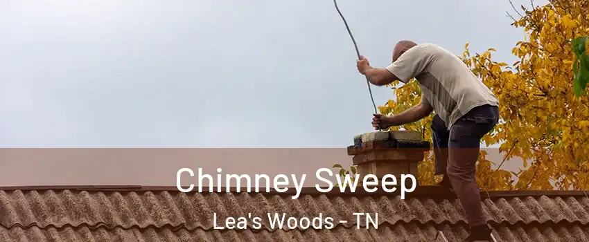 Chimney Sweep Lea's Woods - TN