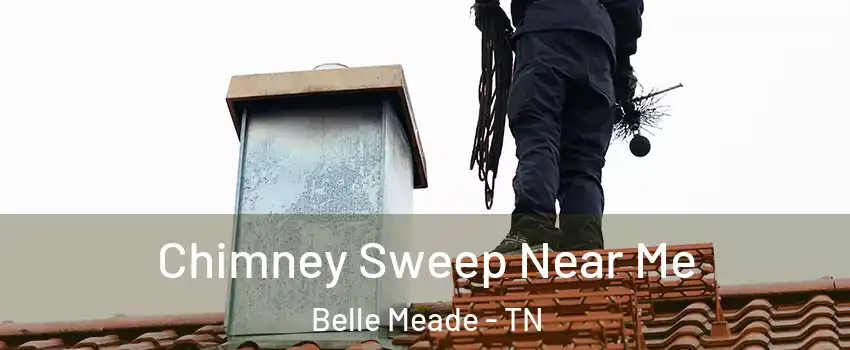 Chimney Sweep Near Me Belle Meade - TN