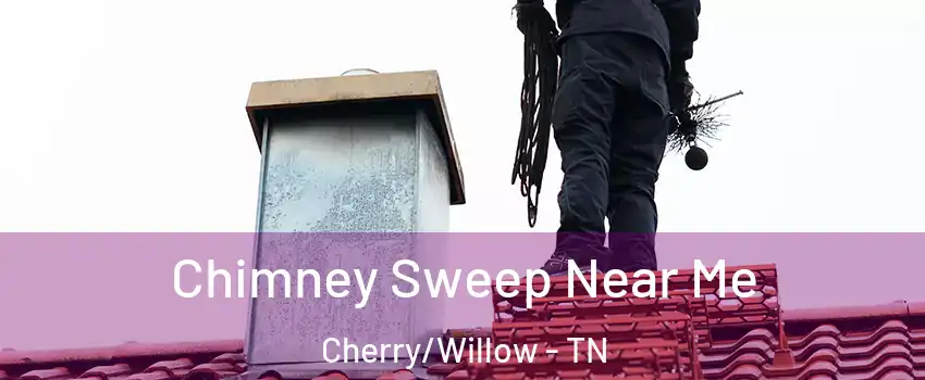 Chimney Sweep Near Me Cherry/Willow - TN