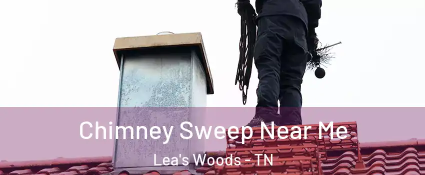 Chimney Sweep Near Me Lea's Woods - TN