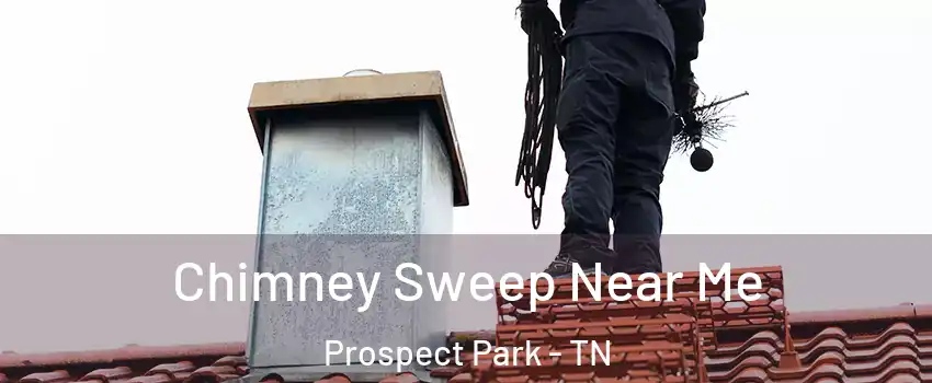 Chimney Sweep Near Me Prospect Park - TN