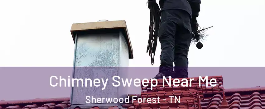 Chimney Sweep Near Me Sherwood Forest - TN