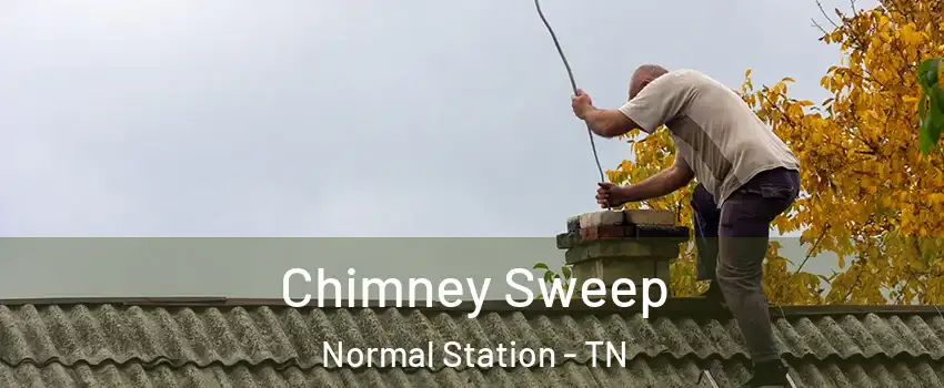 Chimney Sweep Normal Station - TN