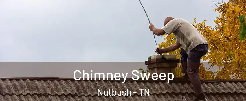 Chimney Sweep Nutbush - TN