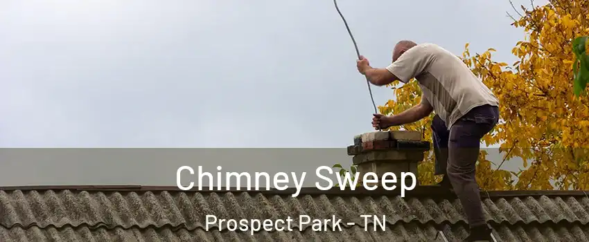 Chimney Sweep Prospect Park - TN