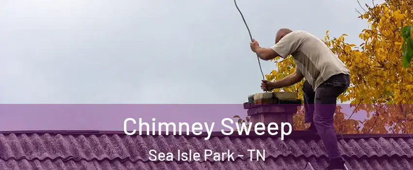 Chimney Sweep Sea Isle Park - TN