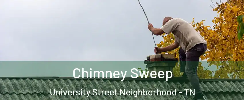 Chimney Sweep University Street Neighborhood - TN