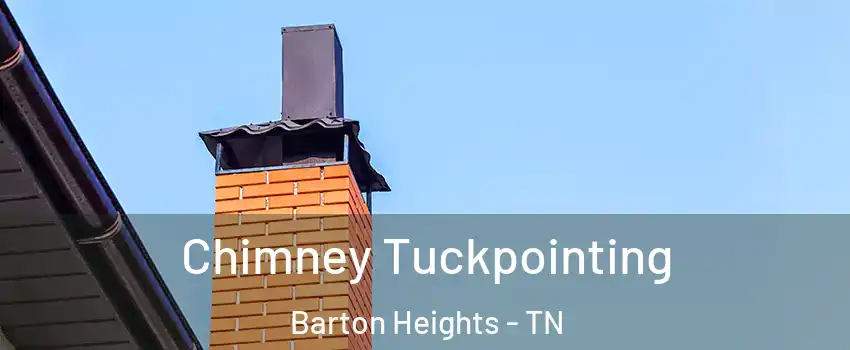 Chimney Tuckpointing Barton Heights - TN