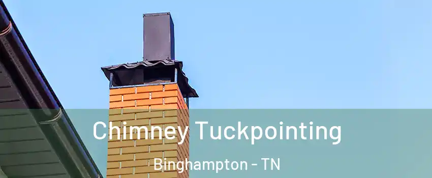 Chimney Tuckpointing Binghampton - TN