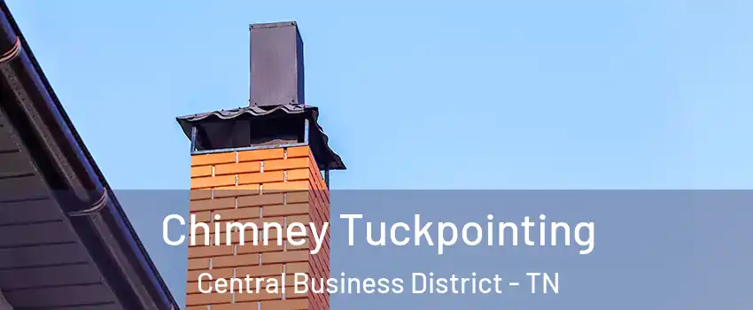 Chimney Tuckpointing Central Business District - TN