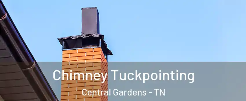 Chimney Tuckpointing Central Gardens - TN