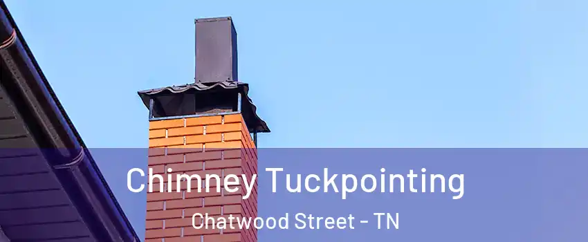 Chimney Tuckpointing Chatwood Street - TN