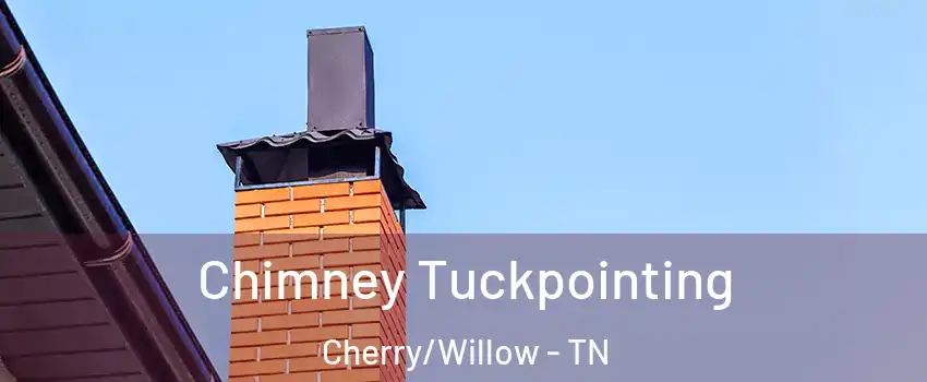 Chimney Tuckpointing Cherry/Willow - TN