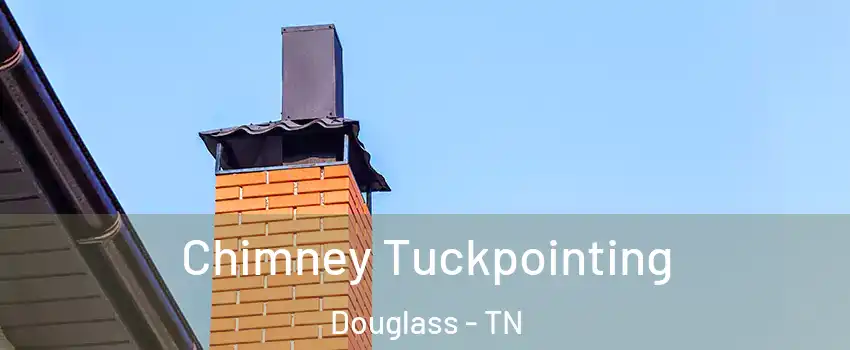 Chimney Tuckpointing Douglass - TN