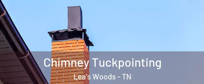 Chimney Tuckpointing Lea's Woods - TN