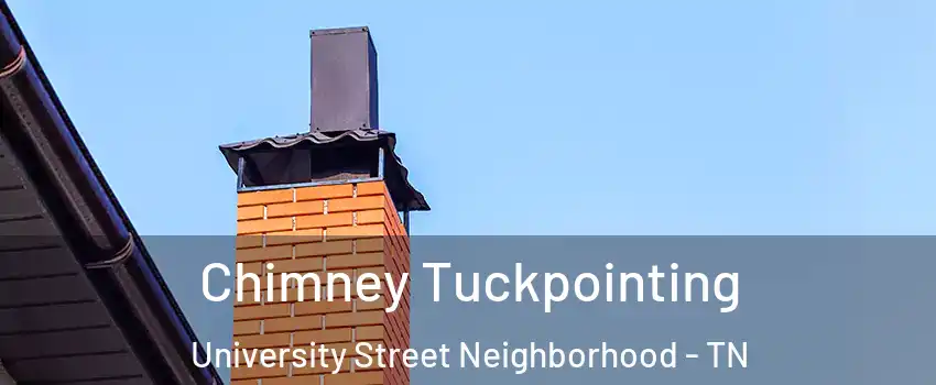 Chimney Tuckpointing University Street Neighborhood - TN