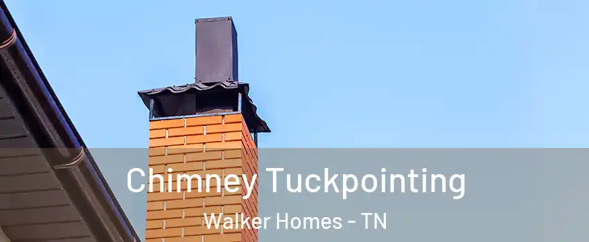 Chimney Tuckpointing Walker Homes - TN