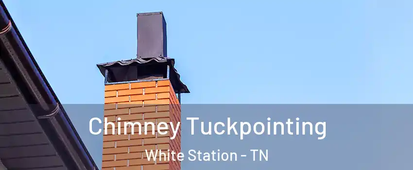 Chimney Tuckpointing White Station - TN