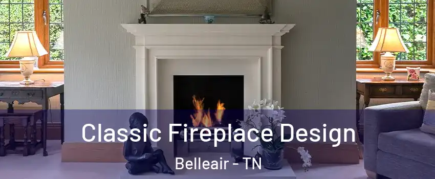 Classic Fireplace Design Belleair - TN