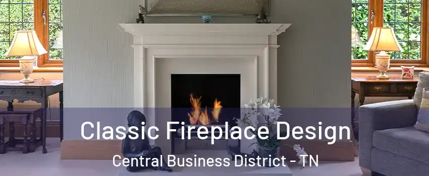 Classic Fireplace Design Central Business District - TN