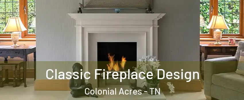 Classic Fireplace Design Colonial Acres - TN