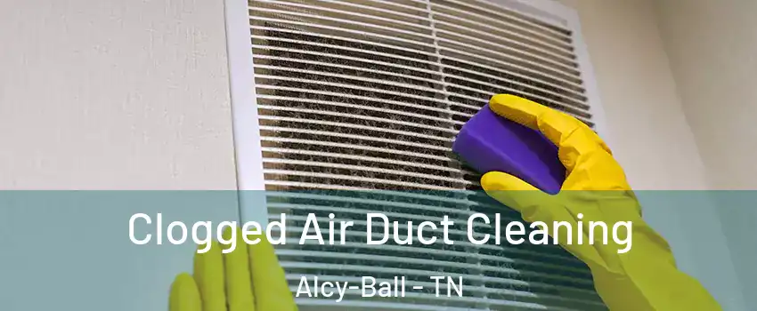 Clogged Air Duct Cleaning Alcy-Ball - TN