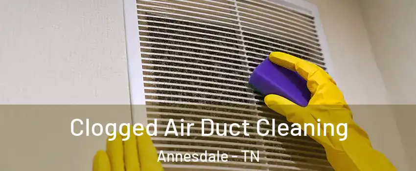 Clogged Air Duct Cleaning Annesdale - TN