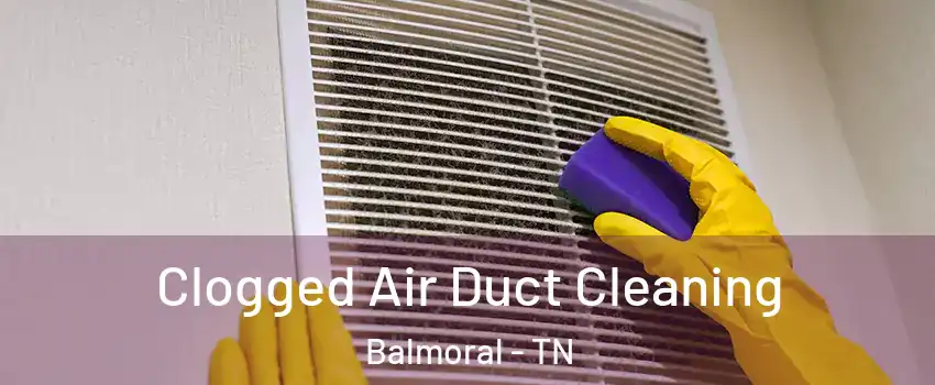 Clogged Air Duct Cleaning Balmoral - TN