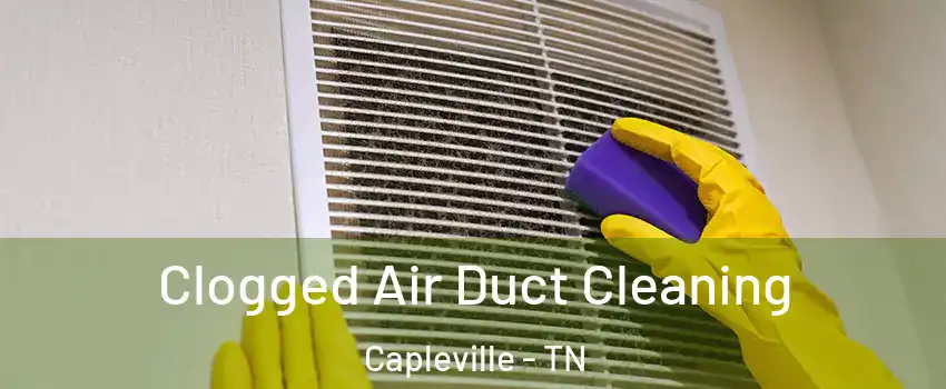 Clogged Air Duct Cleaning Capleville - TN