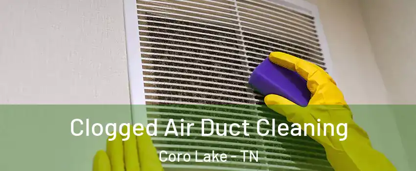 Clogged Air Duct Cleaning Coro Lake - TN