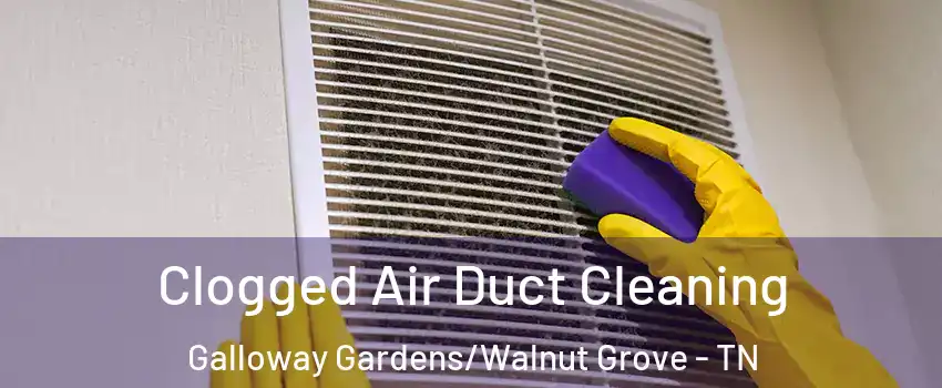 Clogged Air Duct Cleaning Galloway Gardens/Walnut Grove - TN