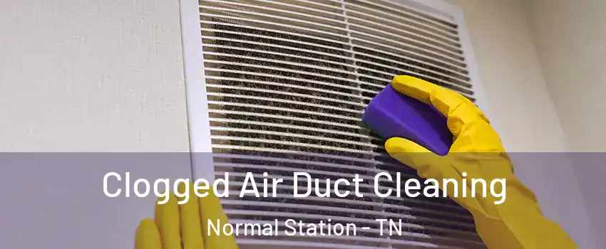 Clogged Air Duct Cleaning Normal Station - TN