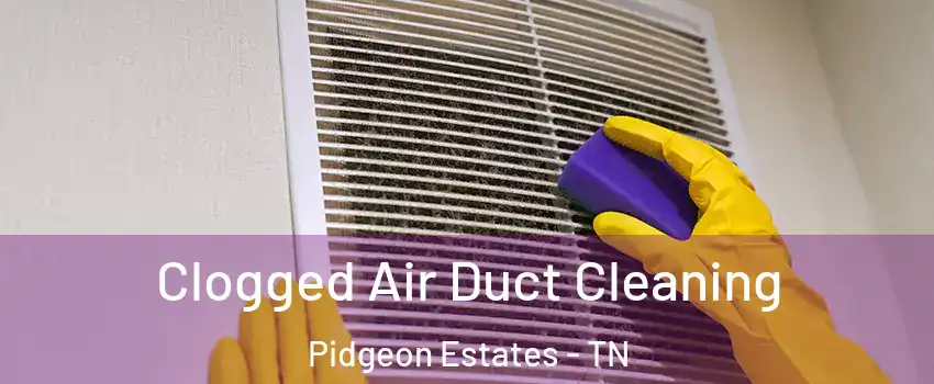 Clogged Air Duct Cleaning Pidgeon Estates - TN