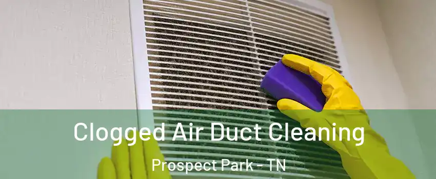 Clogged Air Duct Cleaning Prospect Park - TN