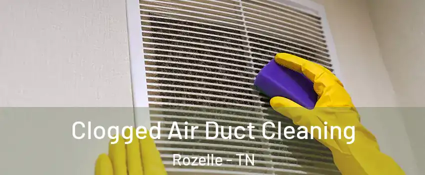 Clogged Air Duct Cleaning Rozelle - TN