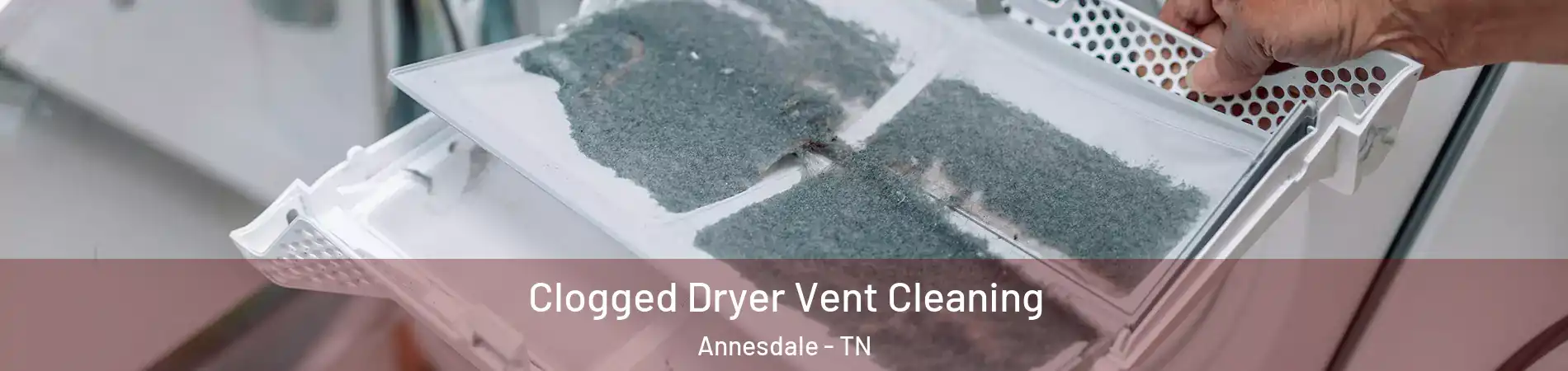 Clogged Dryer Vent Cleaning Annesdale - TN